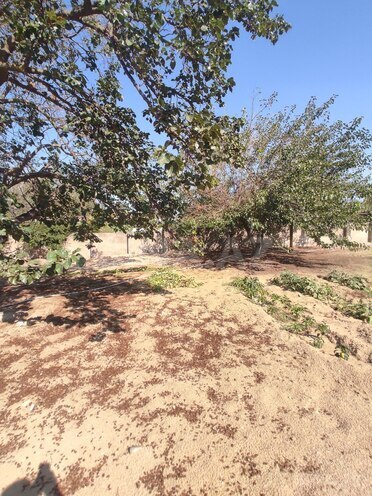 Продаётся  участок 2 сот, пос. Горадил, photo 4 from 8