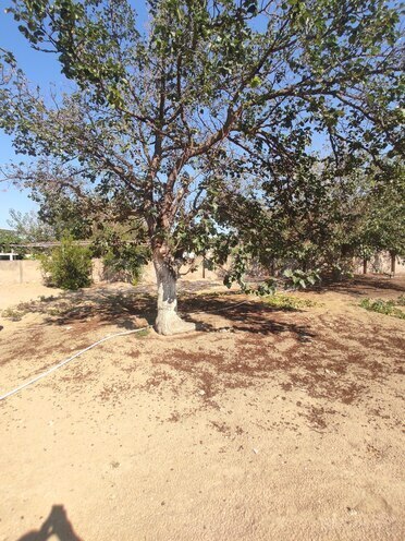 Продаётся  участок 2 сот, пос. Горадил, photo 3 from 8