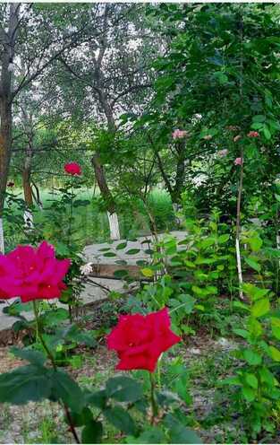 Satılır  obyekt 600 m², photo 19 from 23