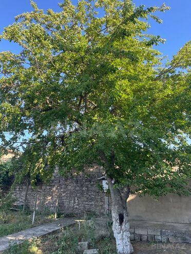 Satılır 1 otaqlı həyət evi/bağ evi 32 m², Mərdəkan q., photo 16 from 25