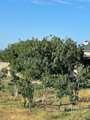 Satılır  torpaq 21.5 sot, Mərdəkan q., photo 24 from 30