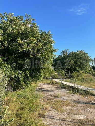 Satılır  torpaq 21.5 sot, Mərdəkan q., photo 23 from 30