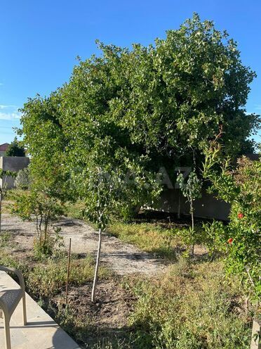 Satılır  torpaq 21.5 sot, Mərdəkan q., photo 25 from 30