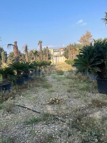 Satılır  obyekt 970 m², Novxanı q., photo 18 from 31