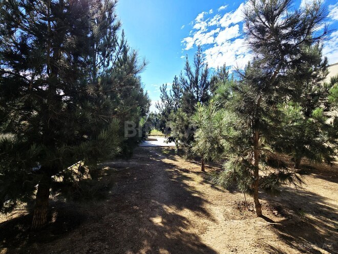 Satılır 8 otaqlı həyət evi/bağ evi 1 000 m², Şüvəlan q., photo 16 from 32