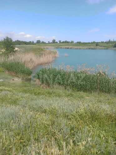 Продаётся  участок 998 сот, Хачмазский р., photo 9 from 11