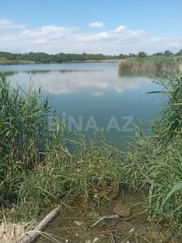 Продаётся  участок 998 сот, Хачмазский р., photo 6 from 11