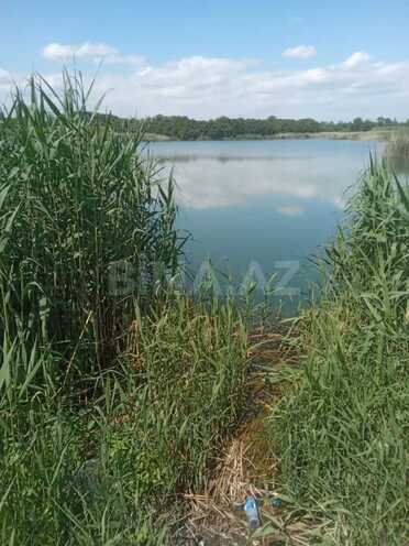 Продаётся  участок 998 сот, Хачмазский р., photo 7 from 11