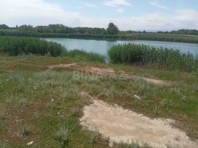 Продаётся  участок 998 сот, Хачмазский р., photo 8 from 11