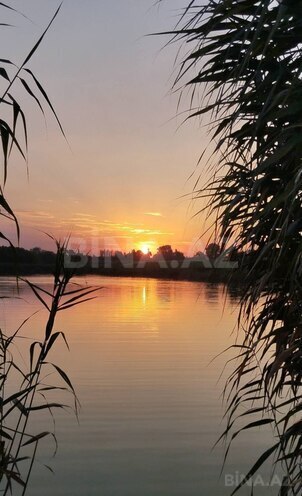 Продаётся  участок 998 сот, Хачмазский р., photo 5 from 11