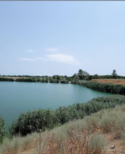 Продаётся  участок 998 сот, Хачмазский р., photo 4 from 11