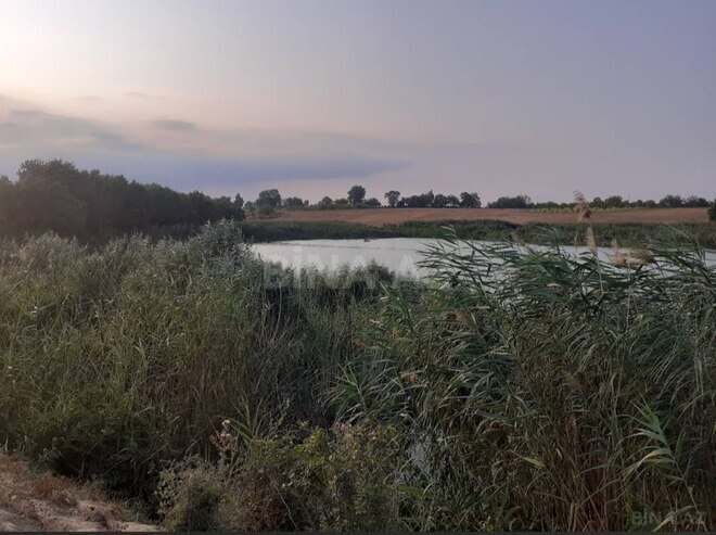 Продаётся  участок 998 сот, Хачмазский р., photo 3 from 11