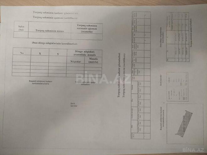 Продаётся  участок 50 сот, пос. Геокмалы, photo 8 from 11