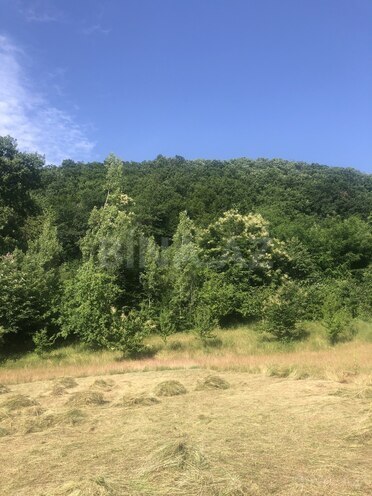 Продаётся  участок 21 сот, photo 1 from 8