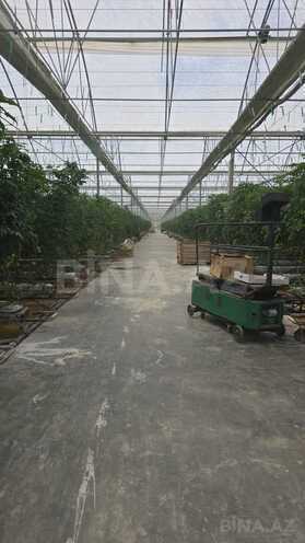 Продаётся  объект 400 м², пос. Гала, photo 10 from 17