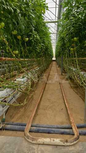 Продаётся  объект 400 м², пос. Гала, photo 3 from 17