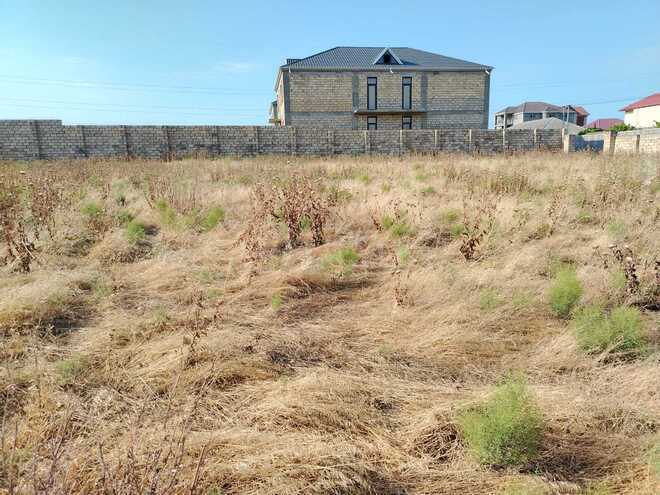 Продаётся  участок 24 сот, пос. Мехтиабад, photo 10 from 13