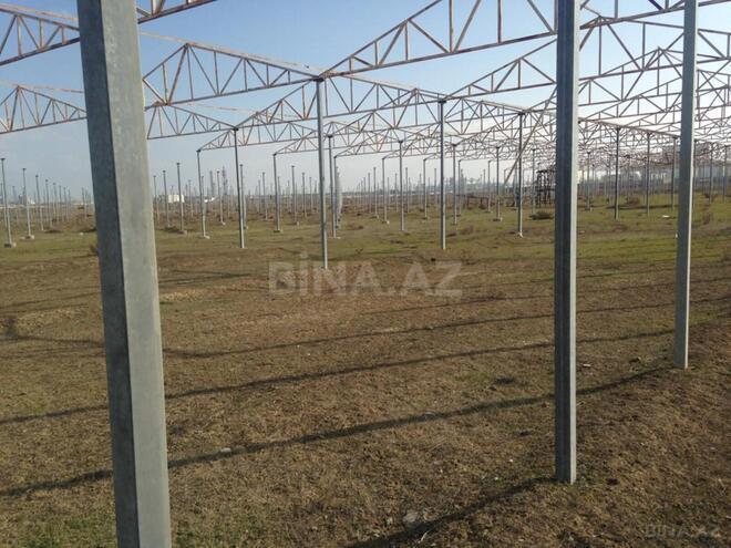 Satılır  torpaq 120 sot, Novxanı q., photo 4 from 9