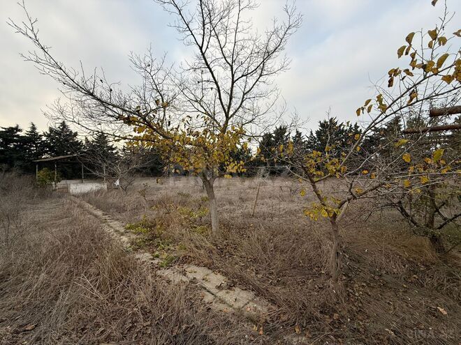 Продаётся  участок 24 сот, пос. Шувеляны, photo 3 from 14