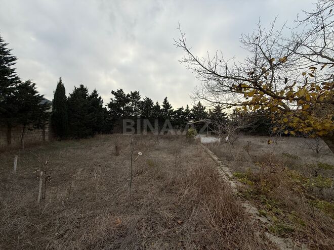 Продаётся  участок 24 сот, пос. Шувеляны, photo 6 from 14