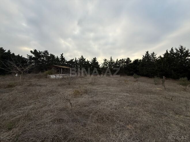 Продаётся  участок 24 сот, пос. Шувеляны, photo 13 from 14