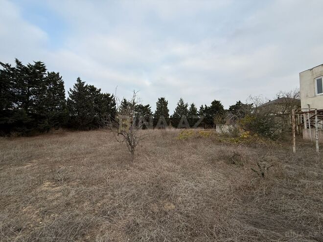 Продаётся  участок 24 сот, пос. Шувеляны, photo 11 from 14