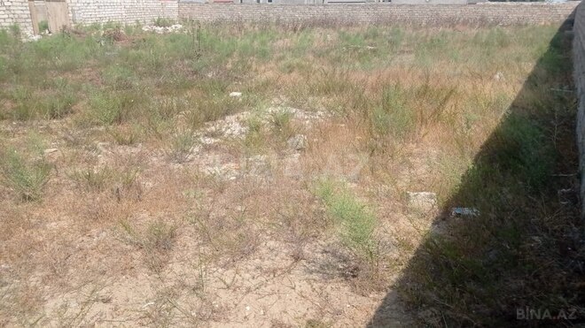 Satılır  torpaq 13.8 sot, Qala q., photo 4 from 5