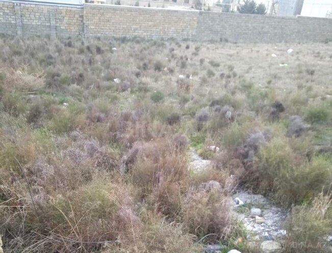 Продаётся  участок 2.2 сот, пос. Бадамдар, photo 3 from 7