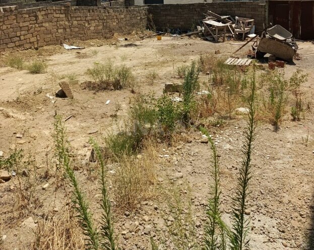Satılır  torpaq 2.6 sot, Badamdar q., photo 3 from 6