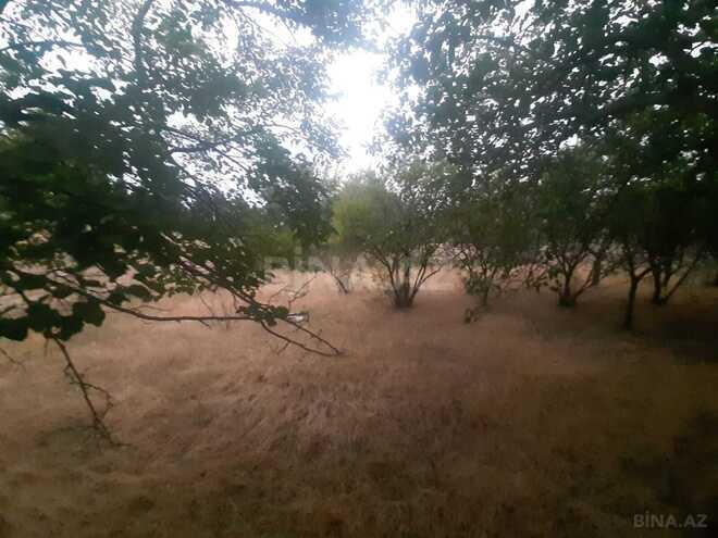 Продаётся  участок 10 сот, пос. Новханы, photo 4 from 15