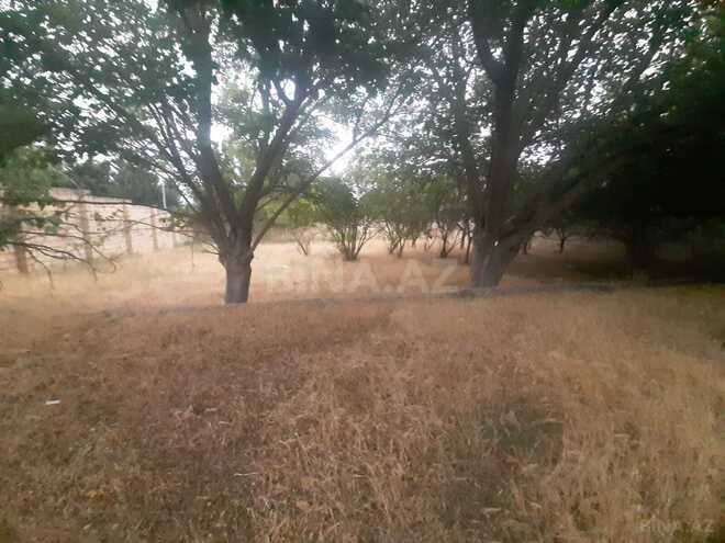 Продаётся  участок 10 сот, пос. Новханы, photo 6 from 15