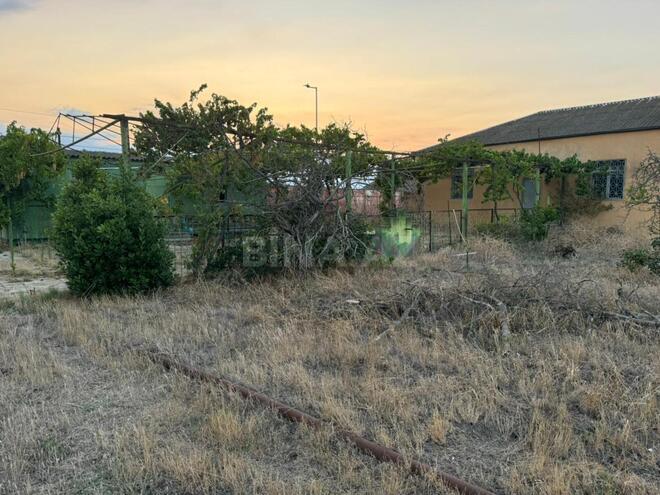 Продаётся  участок 17 сот, пос. Пиршаги, photo 5 from 14