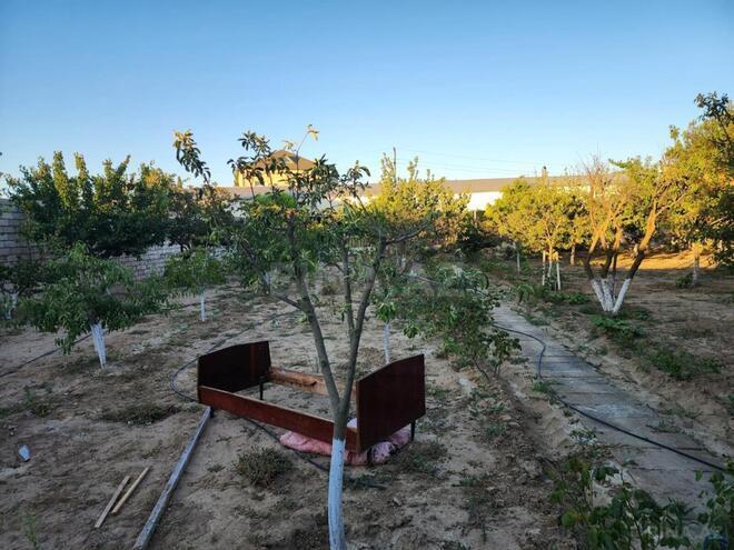 Продаётся  участок 17 сот, пос. Пиршаги, photo 7 from 14