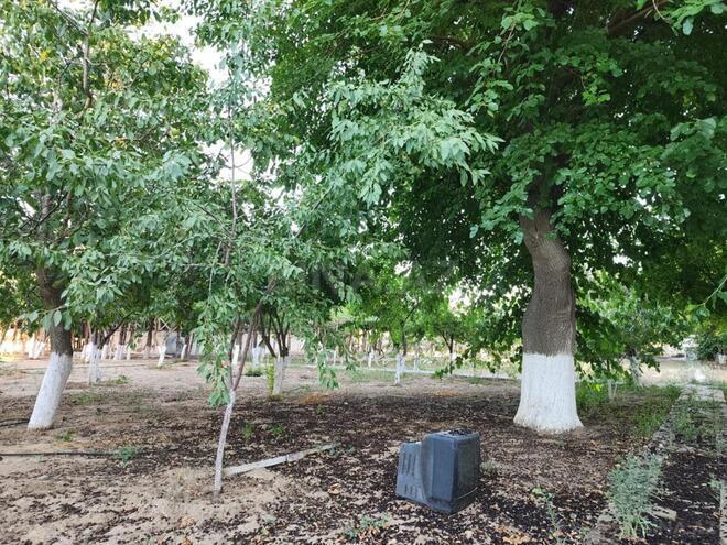 Продаётся  участок 17 сот, пос. Пиршаги, photo 9 from 14