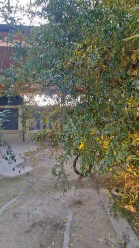 Satılır 5 otaqlı həyət evi/bağ evi 126 m², Zabrat q., photo 12 from 21