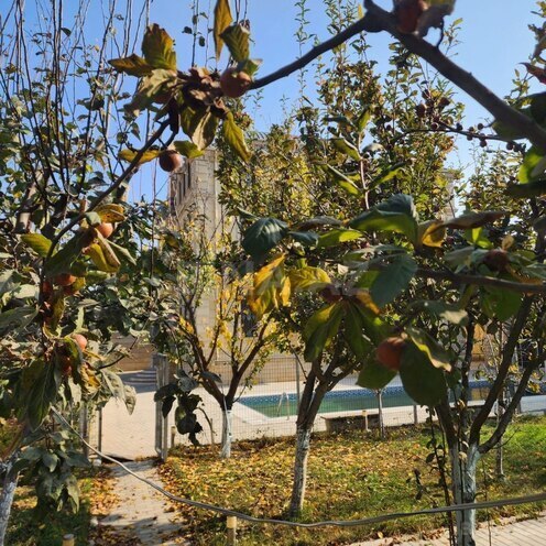 Продаётся 10-комн. дом/дача 700 м², пос. Фатмаи, photo 19 from 28