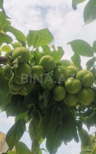 Satılır 6 otaqlı həyət evi/bağ evi 222 m², Masazır q., photo 30 from 32