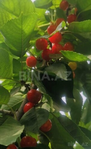 Satılır 6 otaqlı həyət evi/bağ evi 222 m², Masazır q., photo 28 from 32