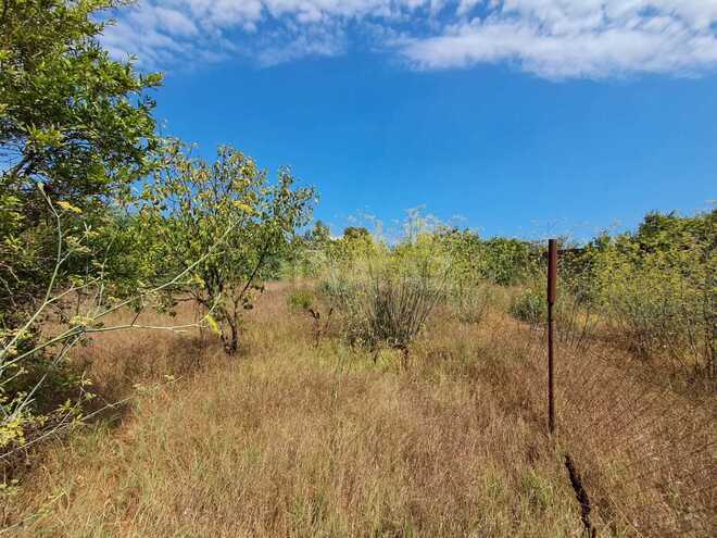 Продаётся  участок 12.6 сот, пос. Нардаран, photo 6 from 10