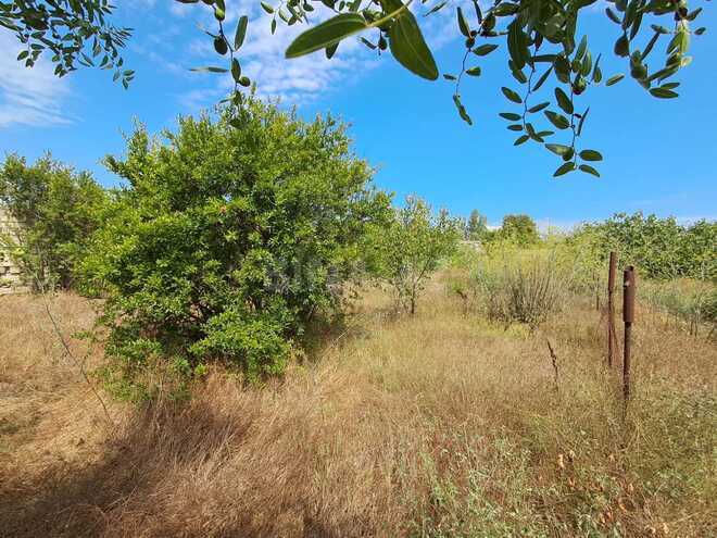 Продаётся  участок 12.6 сот, пос. Нардаран, photo 4 from 10