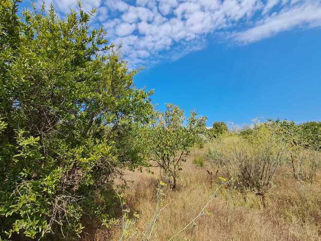 Продаётся  участок 12.6 сот, пос. Нардаран, photo 1 from 10