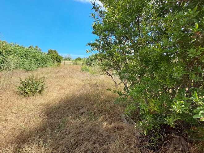 Продаётся  участок 12.6 сот, пос. Нардаран, photo 3 from 10