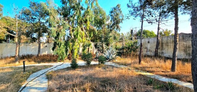 Продаётся  участок 18 сот, пос. Шувеляны, photo 1 from 14