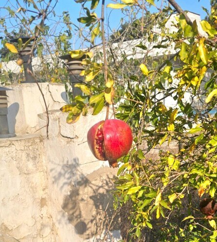 Продаётся 5-комн. дом/дача 265 м², пос. Шувеляны, photo 26 from 30