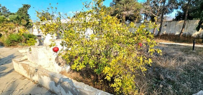 Продаётся 5-комн. дом/дача 265 м², пос. Шувеляны, photo 25 from 30