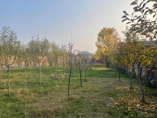 Satılır  torpaq 11 sot, photo 4 from 9