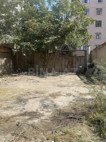 Продаётся  объект 500 м², м. Гянджлик, photo 18 from 23