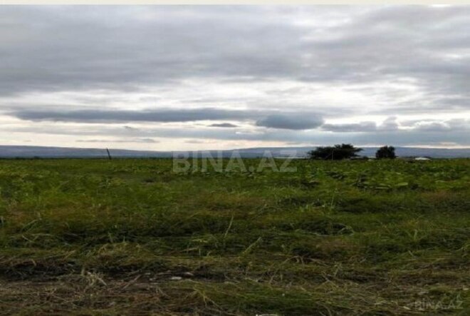 Продаётся  участок 730 сот, photo 5 from 8