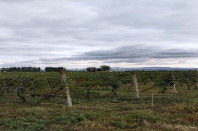 Продаётся  участок 710 сот, photo 6 from 8