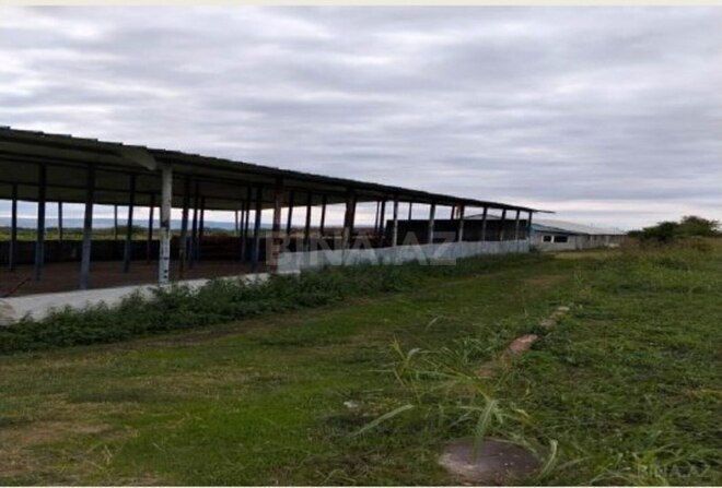 Продаётся  участок 710 сот, photo 3 from 8